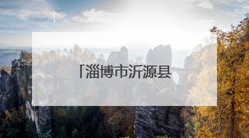 淄博市沂源县南鲁山镇：水墨鲁山艾韵浓 艾草飘香共富路