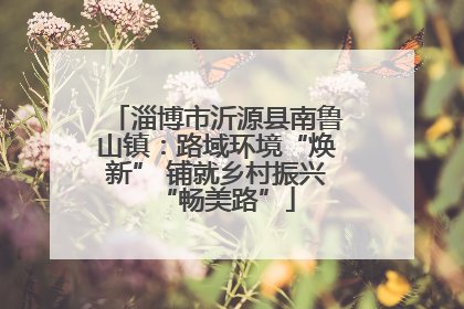 淄博市沂源县南鲁山镇：路域环境“焕新” 铺就乡村振兴“畅美路”