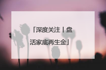 深度关注丨盘活家底再生金