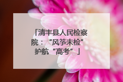 清丰县人民检察院：“风筝未检”护航“高考”