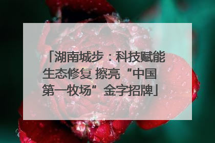 湖南城步：科技赋能生态修复 擦亮“中国第一牧场”金字招牌