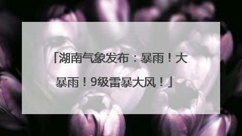 湖南气象发布：暴雨！大暴雨！9级雷暴大风！