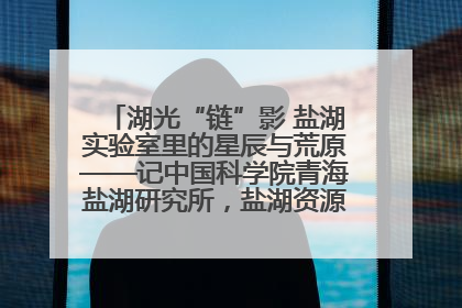 湖光“链”影 盐湖实验室里的星辰与荒原——记中国科学院青海盐湖研究所，盐湖资源化学实验室党总支书记、副主任刘忠