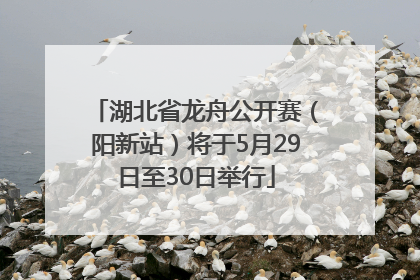 湖北省龙舟公开赛（阳新站）将于5月29日至30日举行