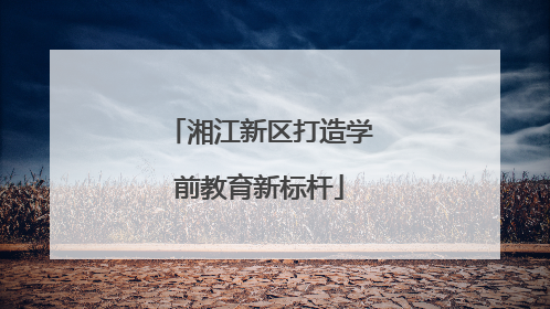 湘江新区打造学前教育新标杆