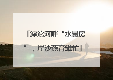滹沱河畔“水景房”，崖沙燕育雏忙