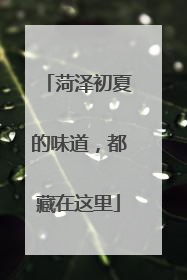 菏泽初夏的味道，都藏在这里