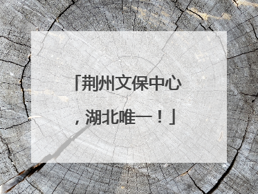 荆州文保中心，湖北唯一！