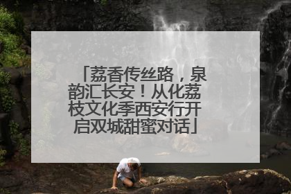 荔香传丝路，泉韵汇长安！从化荔枝文化季西安行开启双城甜蜜对话
