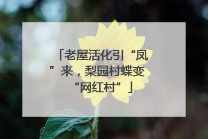 老屋活化引“凤”来，梨园村蝶变“网红村”
