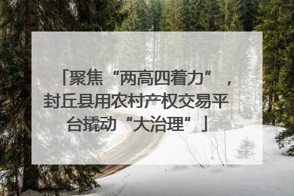 聚焦“两高四着力”，封丘县用农村产权交易平台撬动“大治理”