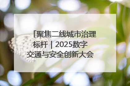 聚焦二线城市治理标杆｜2025数字交通与安全创新大会在保定隆重开幕