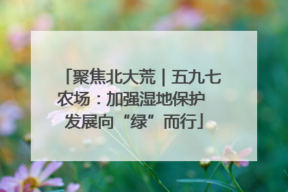 聚焦北大荒｜五九七农场：加强湿地保护 发展向“绿”而行