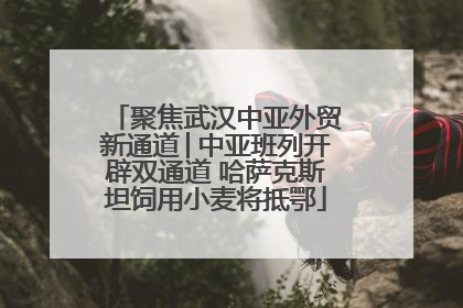 聚焦武汉中亚外贸新通道│中亚班列开辟双通道 哈萨克斯坦饲用小麦将抵鄂