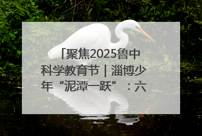 聚焦2025鲁中科学教育节｜淄博少年“泥潭一跃”：六一节里的勇气勋章
