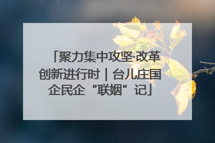 聚力集中攻坚·改革创新进行时｜台儿庄国企民企“联姻”记
