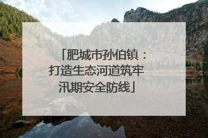 肥城市孙伯镇：打造生态河道筑牢汛期安全防线
