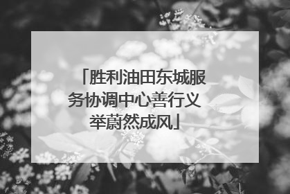 胜利油田东城服务协调中心善行义举蔚然成风