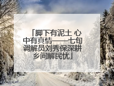 脚下有泥土 心中有真情——七旬调解员刘秀保深耕乡间解民忧