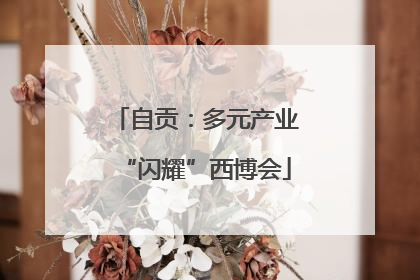 自贡：多元产业“闪耀”西博会