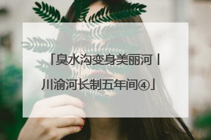 臭水沟变身美丽河丨川渝河长制五年间④
