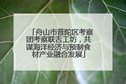 舟山市普陀区考察团考察联舌工坊，共谋海洋经济与预制食材产业融合发展