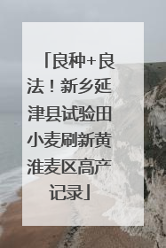 良种+良法！新乡延津县试验田小麦刷新黄淮麦区高产记录