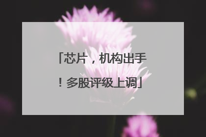 芯片，机构出手！多股评级上调