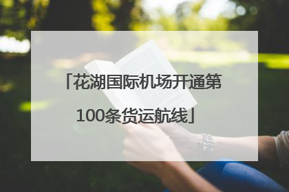 花湖国际机场开通第100条货运航线