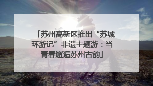 苏州高新区推出“苏城环游记”非遗主题游：当青春邂逅苏州古韵