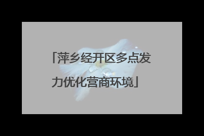 萍乡经开区多点发力优化营商环境