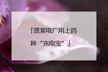 蓬莱电厂用上四种“充电宝”