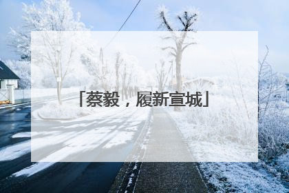 蔡毅，履新宣城
