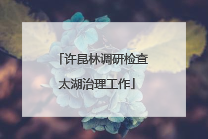 许昆林调研检查太湖治理工作