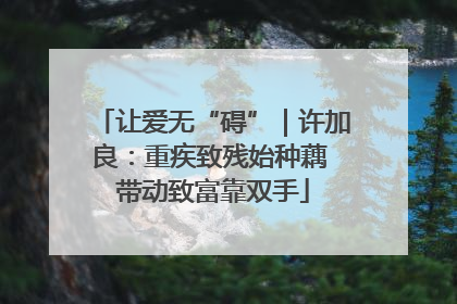 让爱无“碍”｜许加良：重疾致残始种藕 带动致富靠双手