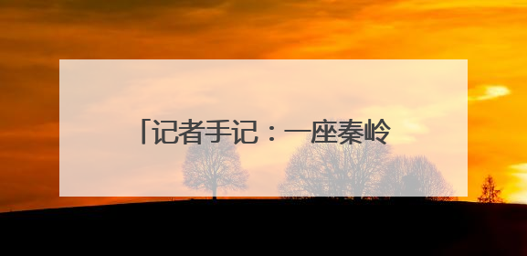 记者手记：一座秦岭小城的乡村美学实践