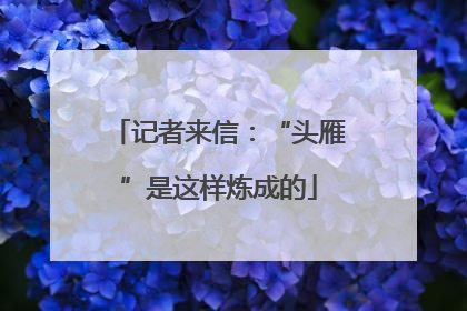 记者来信：“头雁”是这样炼成的