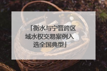 衡水与宁晋跨区域水权交易案例入选全国典型