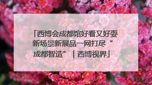 西博会成都馆好看又好耍 新场景新展品一网打尽“成都智造”｜西博视界