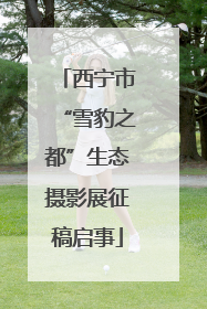 西宁市“雪豹之都”生态摄影展征稿启事