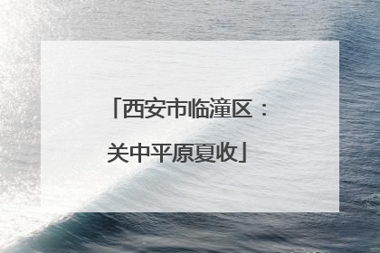 西安市临潼区：关中平原夏收