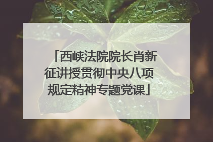 西峡法院院长肖新征讲授贯彻中央八项规定精神专题党课