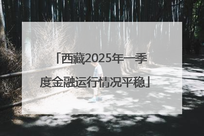 西藏2025年一季度金融运行情况平稳