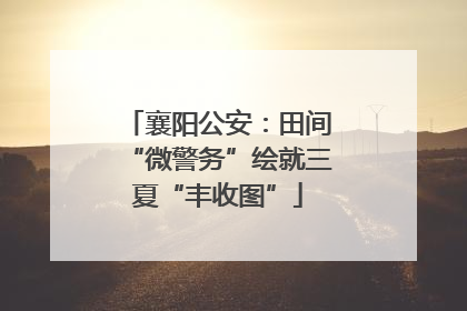 襄阳公安：田间“微警务”绘就三夏“丰收图”
