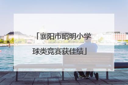 襄阳市昭明小学球类竞赛获佳绩