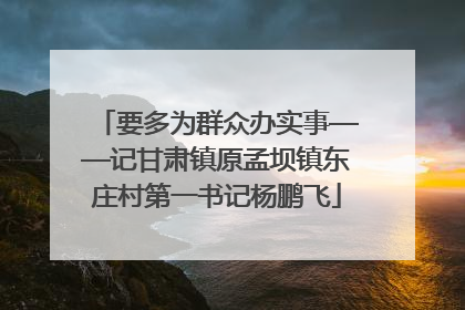 要多为群众办实事——记甘肃镇原孟坝镇东庄村第一书记杨鹏飞