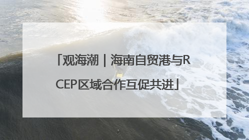 观海潮｜海南自贸港与RCEP区域合作互促共进