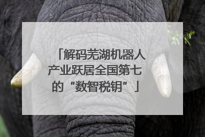 解码芜湖机器人产业跃居全国第七的“数智税钥”