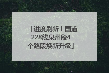 进度刷新！国道228线泉州段4个路段焕新升级