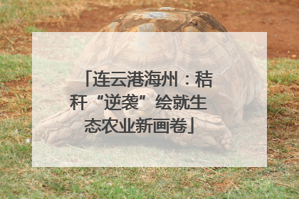 连云港海州：秸秆“逆袭”绘就生态农业新画卷